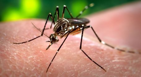 LOS LABORATORIOS Y EL DENGUE