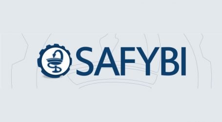 COMITE DE EXPERTOS DE SAFYBI