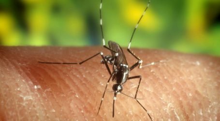 VIRUS ZIKA Y MICROCEFALIA